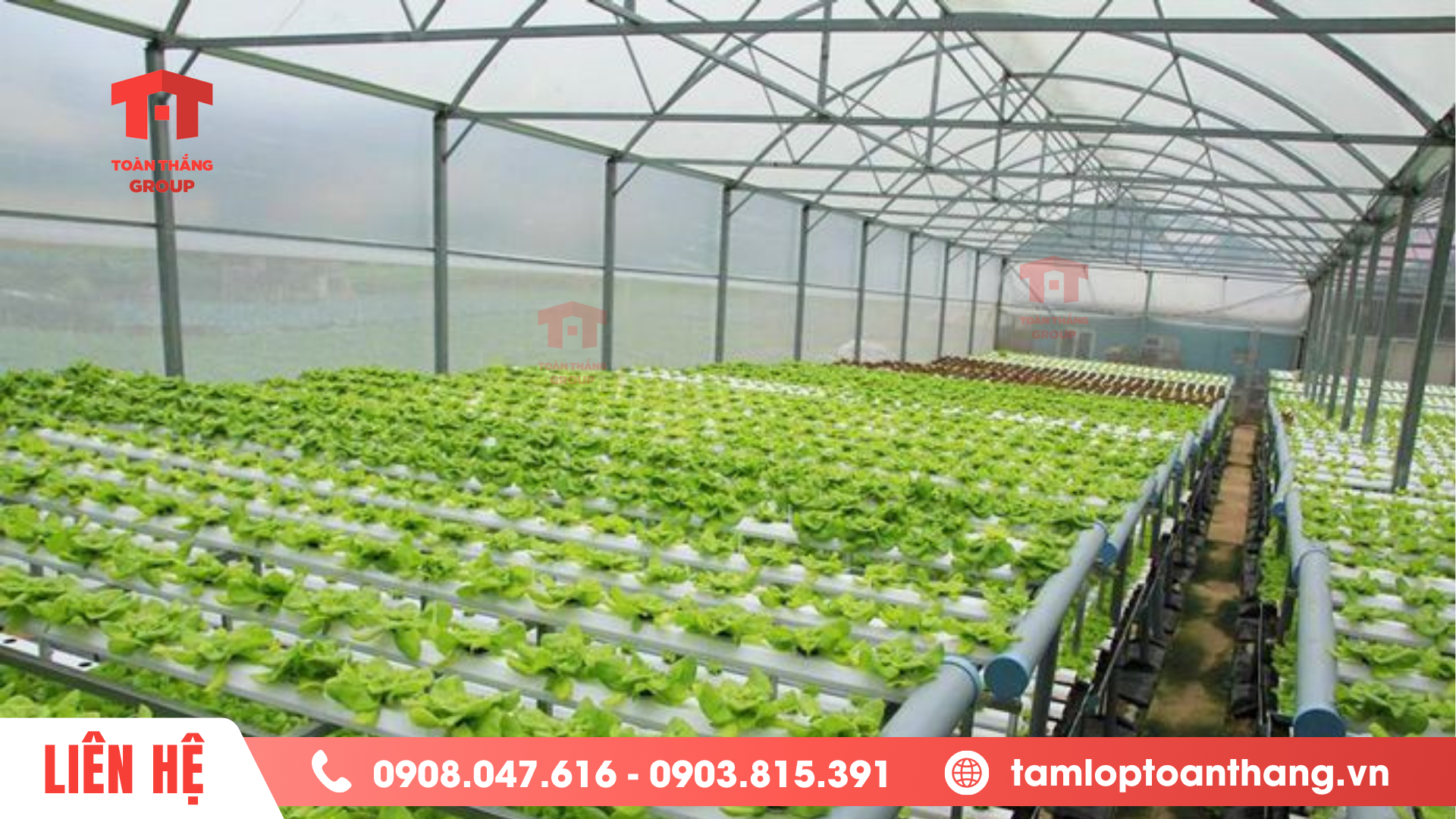 tấm lấy sáng poly solar light cho nhà kính nông nghiệp