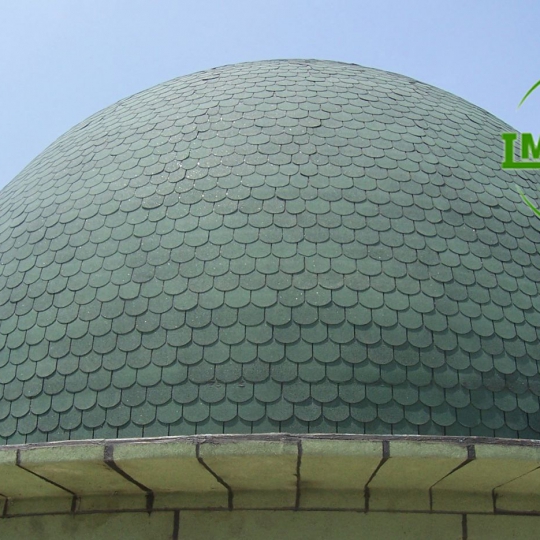 Tấm Bardoline giả đá vây cá